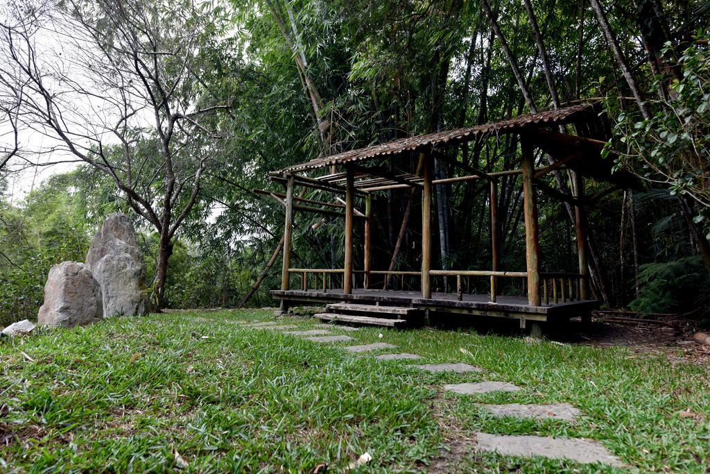 Sun Moon Lake Bamboo Rock Garden Yuchi Extérieur photo