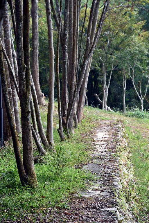 Sun Moon Lake Bamboo Rock Garden Yuchi Extérieur photo